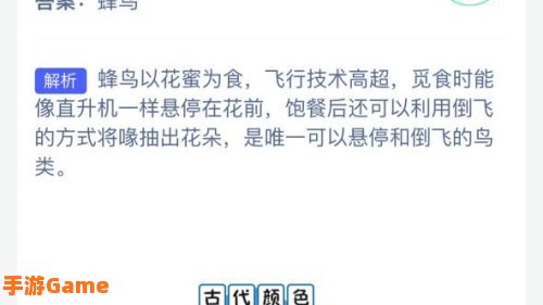 哪种鸟能倒着飞蚂蚁庄园