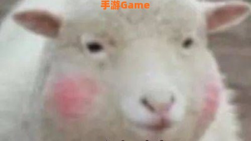 羊了个羊是啥