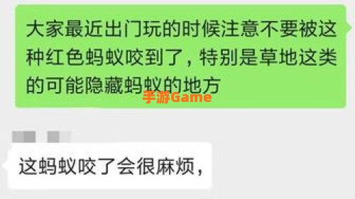 红火蚁的繁殖季节